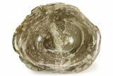 Petrified Wood (Tropical Hardwood) Bowl - Indonesia #351990-1